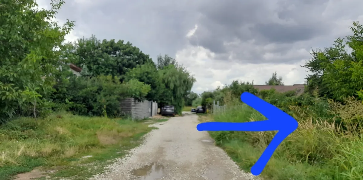 Berceni Dumbrava Rosie