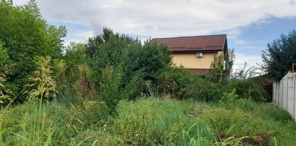 Berceni Dumbrava Rosie