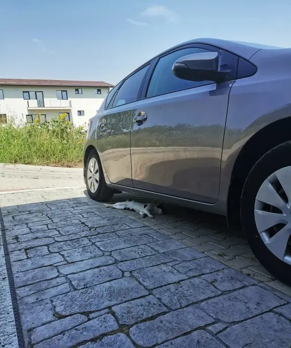 Toyota Auris 1 33 benzina 2014 Istoric complet Toyota Iasi 10 250 eur