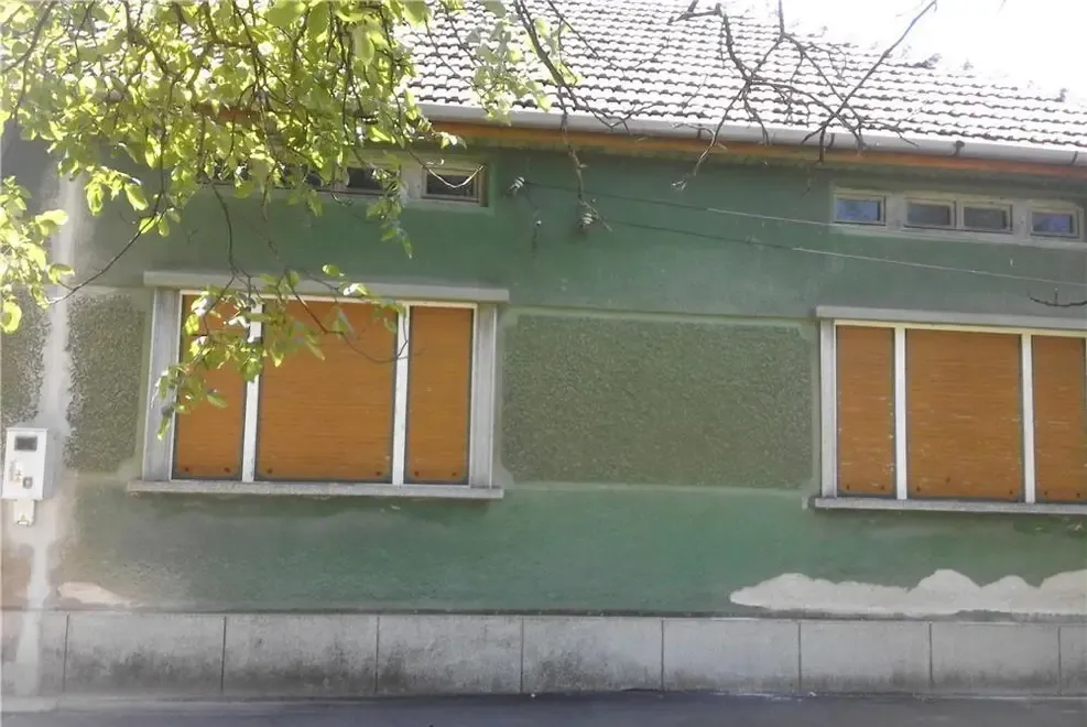 De vanzare doua case Belint