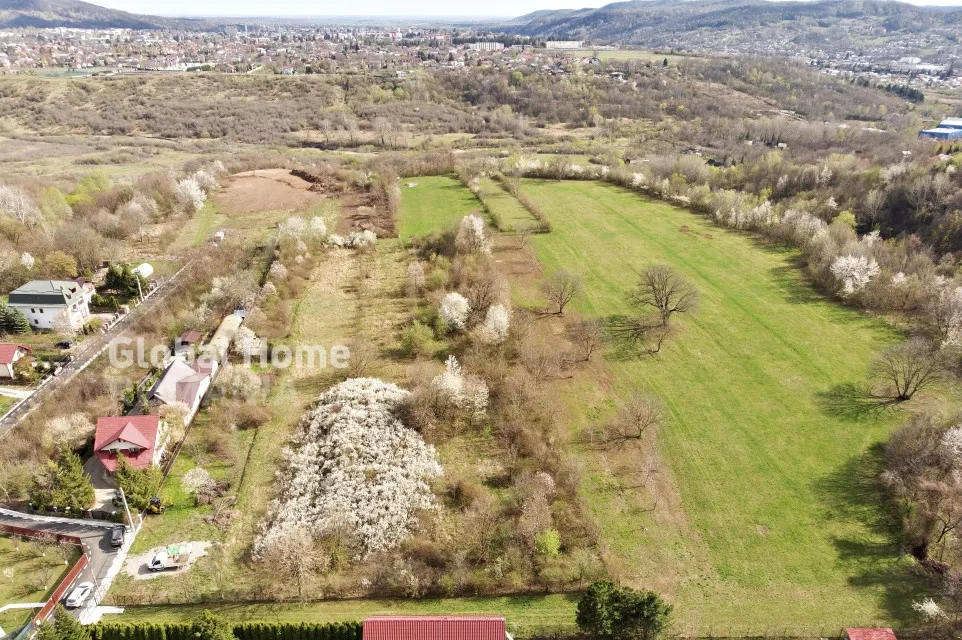 Mountain Plateau 23 345 sqm Exclusive Estate Jud Prahova Valea Prahovei