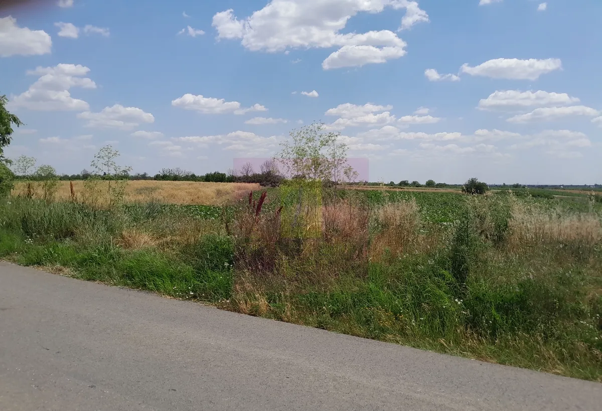 Giurgiu se vind 2 terenuri alipite total 16 600 mp in sat teisori