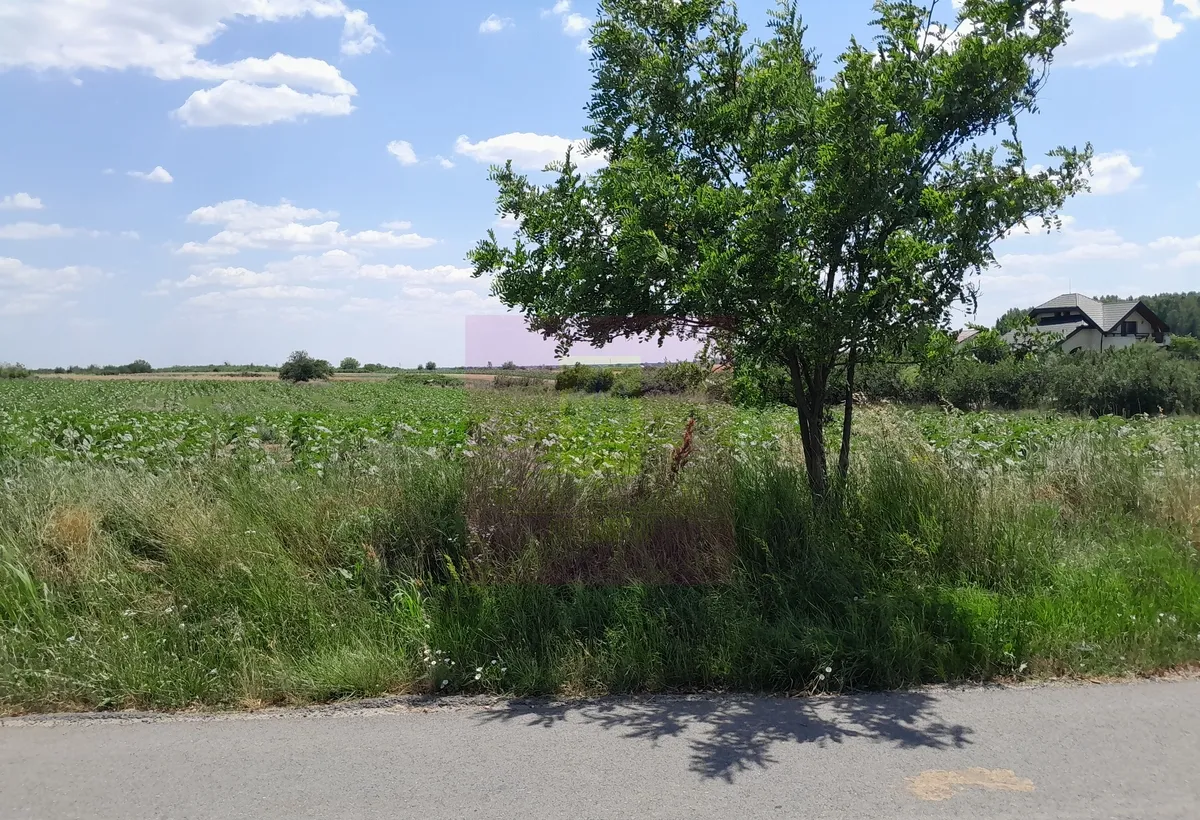 Giurgiu se vind 2 terenuri alipite total 16 600 mp in sat teisori