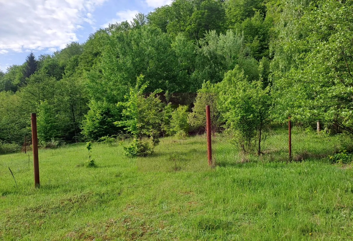 Berevoiesti ag se vinde teren 834 mp in zona Pastravaria Rausor