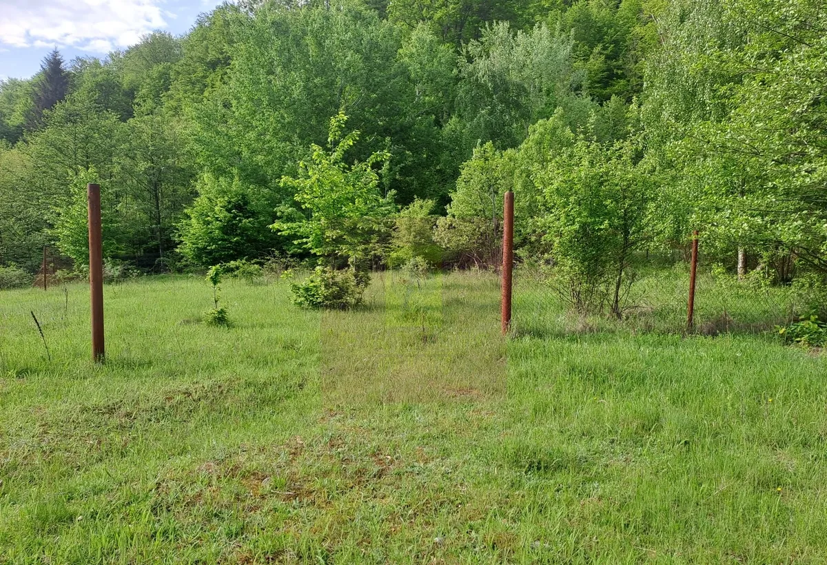 Berevoiesti ag se vinde teren 834 mp in zona Pastravaria Rausor