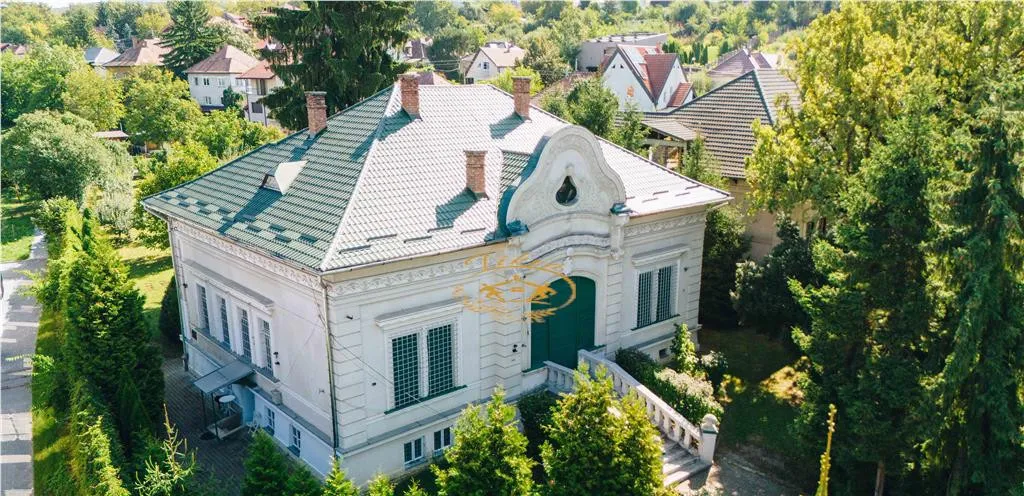 Vila in stil Art Nouveau Targu Mures str Alexandru Papiu