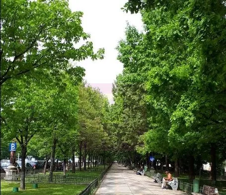 Vanzare apartament de 3 camere bd Unirii bloc nou 2025