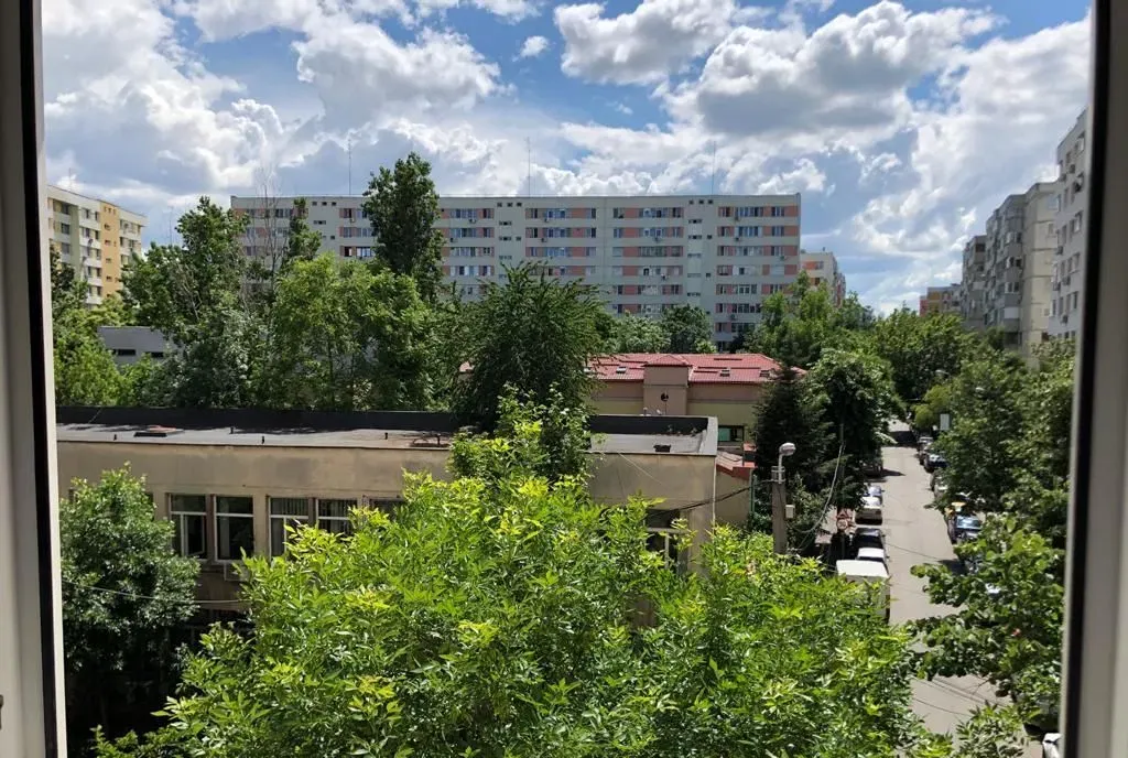 Teiul Doamnei strada Nada Florilor