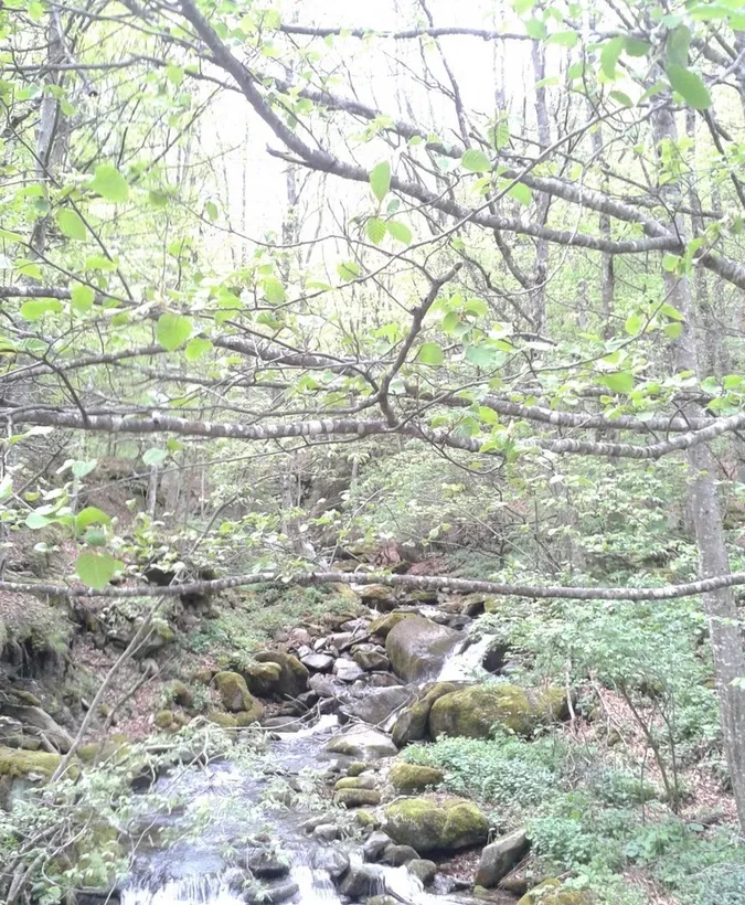Masivul Retezat