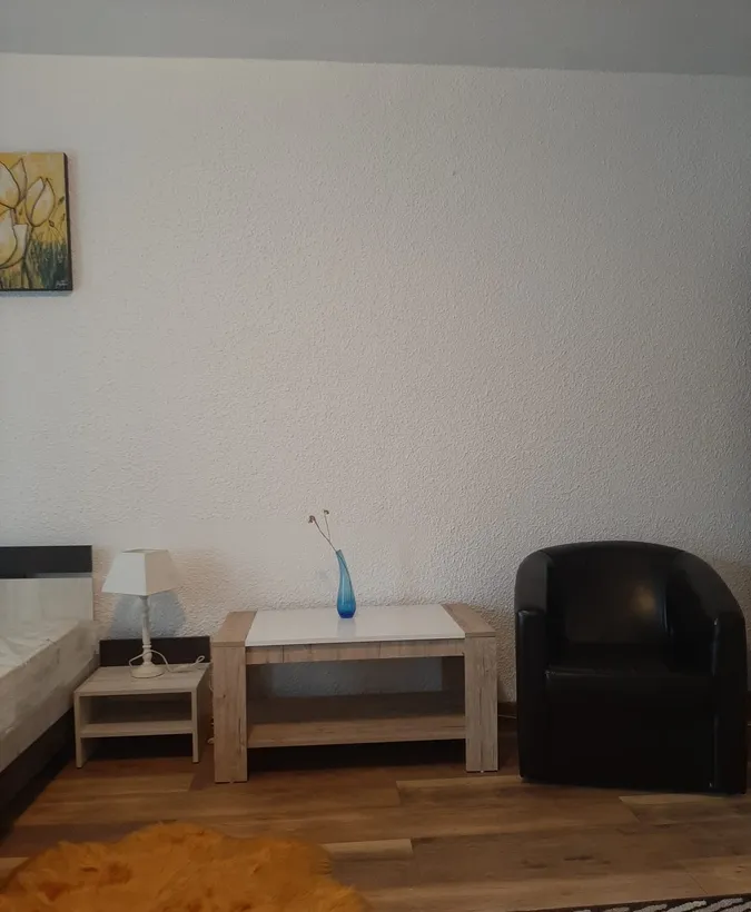 Militari Lujerului