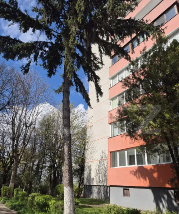 Apartament cu 3 camere 60 mp Dambu Pietros