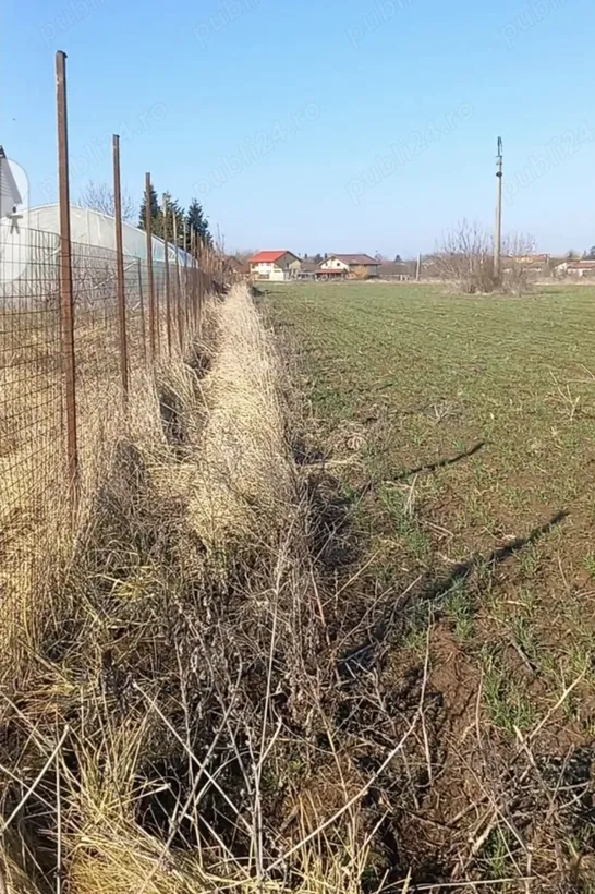 Ghermanesti if strada Piatra Craiului