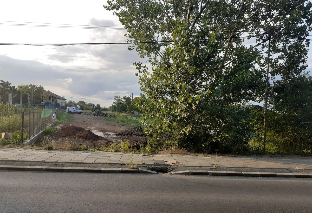 Snagov Vladiceasca padure