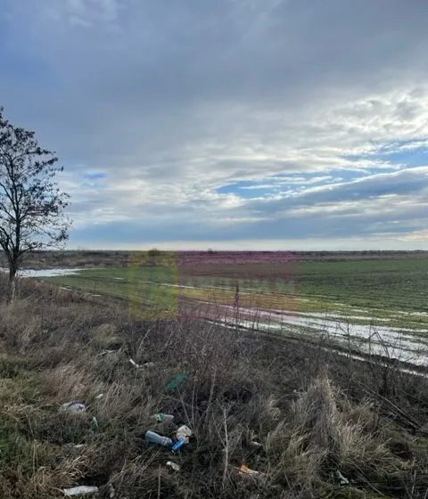 Teren Mihailesti E70 DN6 langa Dovinot