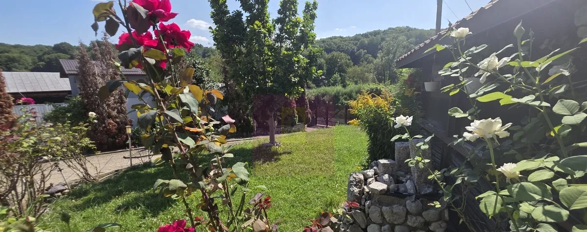 Casa 5 camere de vanzare in Mislea
