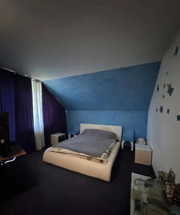Casa de vanzare in Palazu Mare 4 camere Teren 655 mp