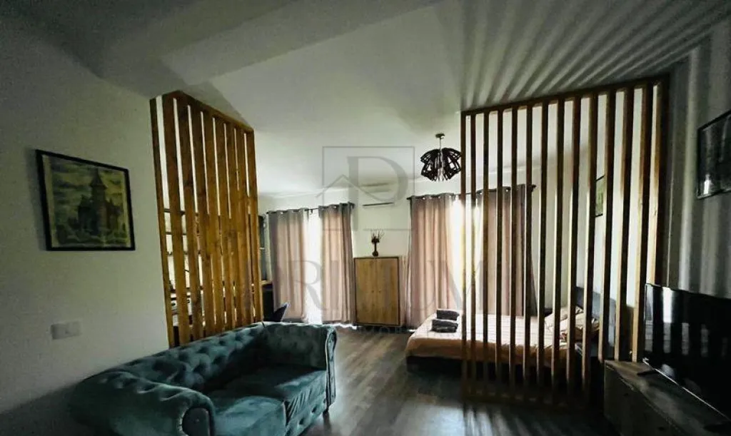 Apartament 1 camera Centrala Steaua