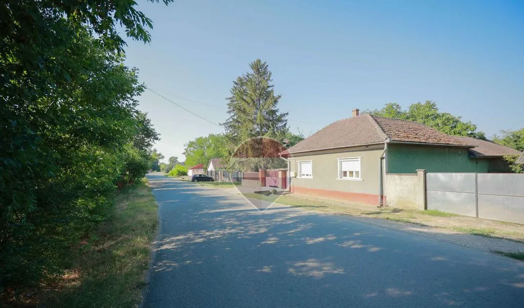 Casa de vanzare cu 4 camere Santaul Mare comuna Bor