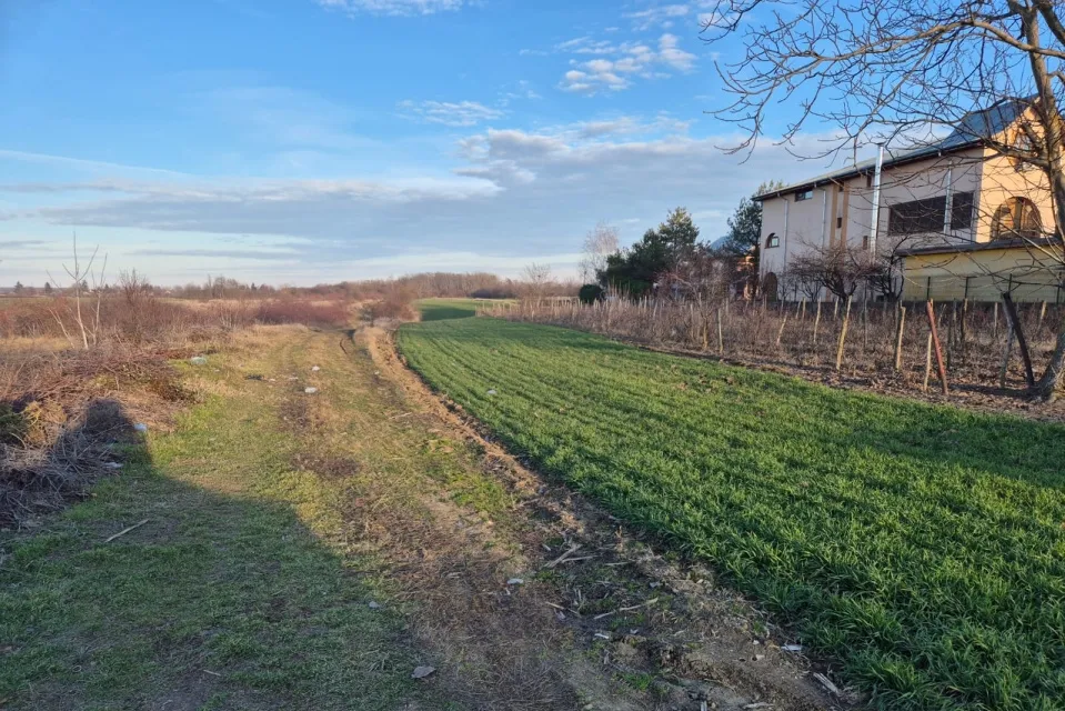 Giurgiu Vand teren in Tintava cu deschidere la padure Gradinari Giurgiu