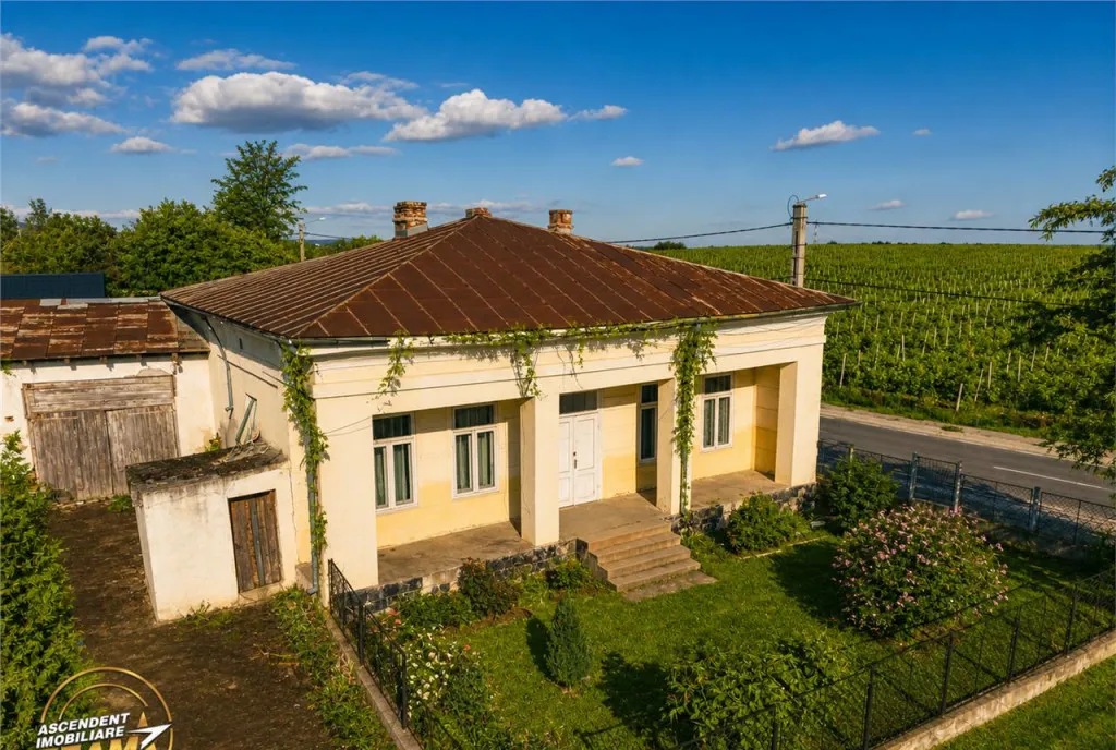 Proprietate unica in zona viticola Odobesti Vrancea casa b