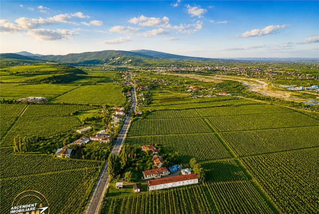 Proprietate unica in zona viticola Odobesti Vrancea casa b