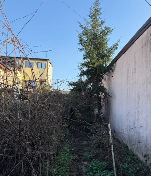 Chitila Sector 1 casa