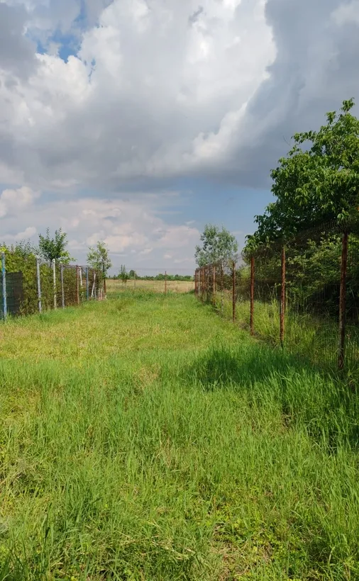 Filipestii de Padure Prahova teren casa