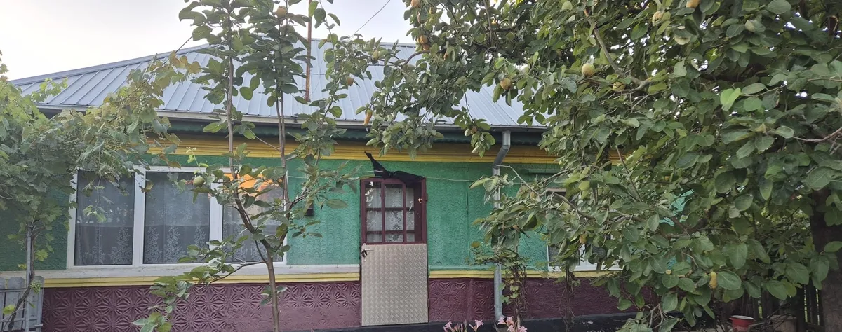 Comuna Dascalu Jud Ilfov