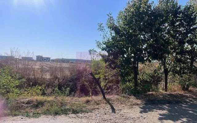 Teren Cornetu Strada Magnoliei Pinului