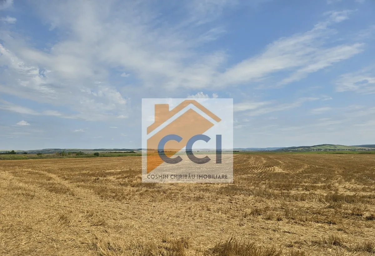Teren intravilan- 50 000 mp Bacau Soseaua Hol