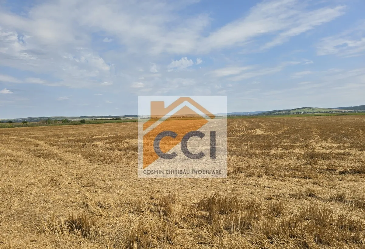 Teren intravilan- 50 000 mp Bacau Soseaua Hol