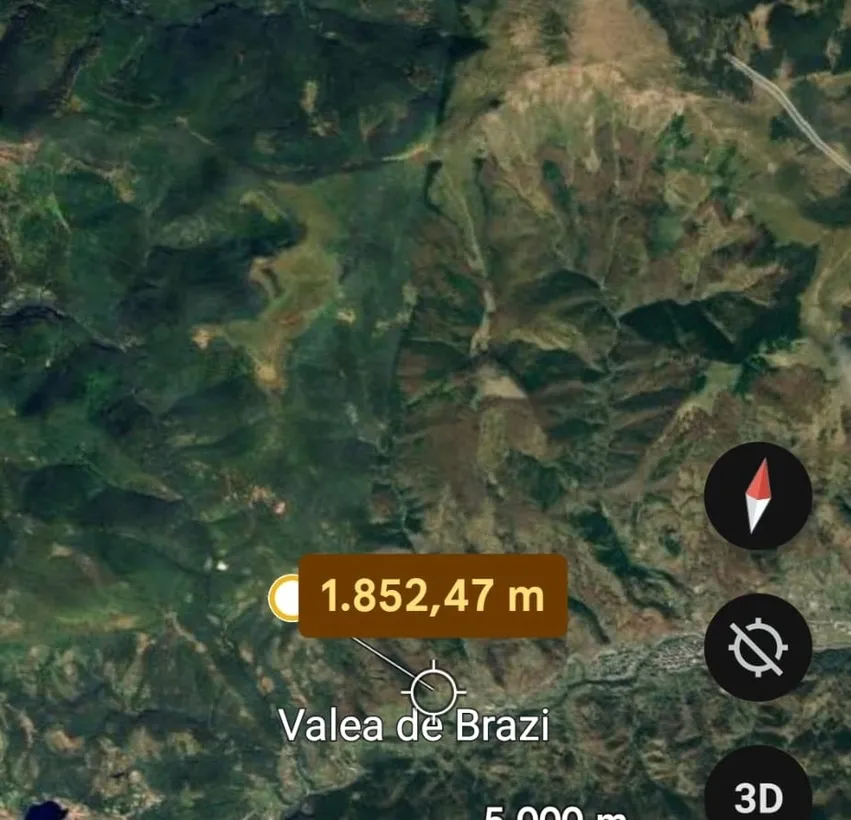 Padure 40500 mp jud Hunedoara