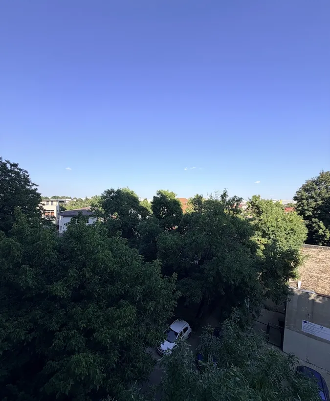 Piata Progresul Targul Frumos