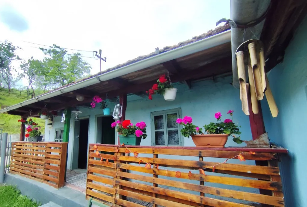 Casa la tara cu piscina incalzita Boiu De Sus Hunedoara