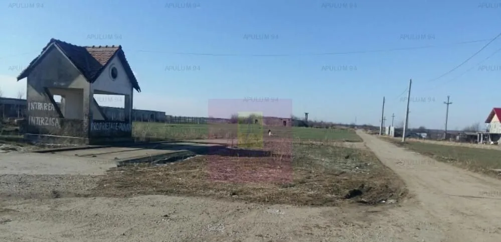 Teren Balotesti Saftica ideal pentru constructie locuinte