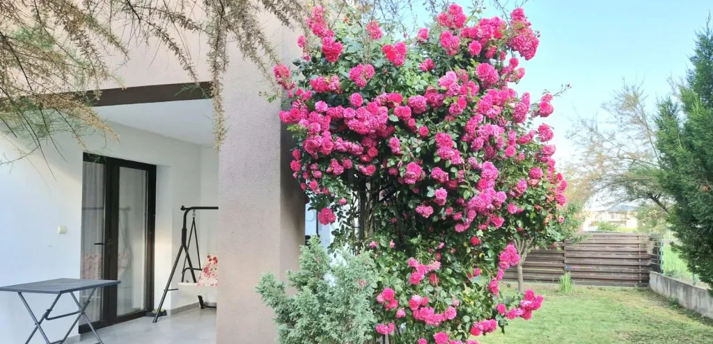 Duplex 4 camere P 1 mobilat si utilat Dumbravita