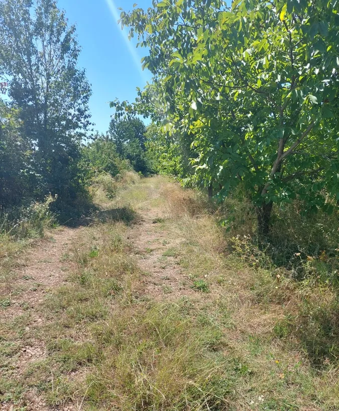Valea Prahovei pe malul raului