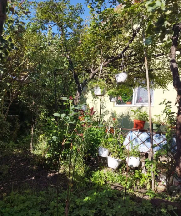 Casa cu 477 mp Dambu Rotund Cluj