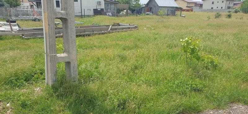 Ciorogarla spre Darvari