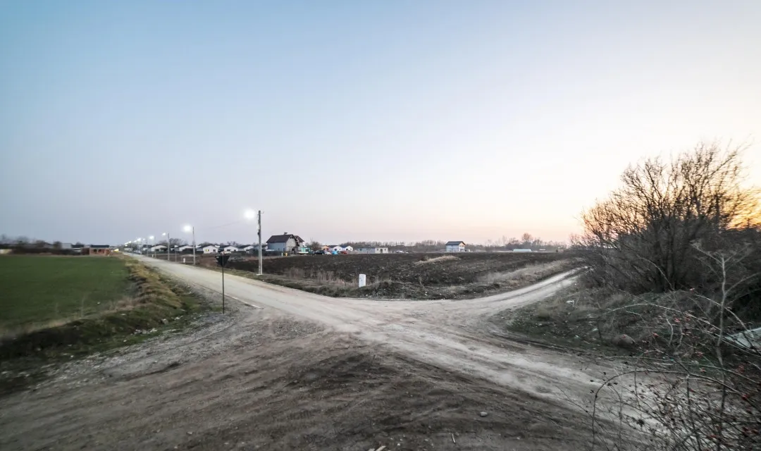 Teren 6000mp Domnesti Salciei Haltei Ciocarliei Drum asfaltat cu utilitati