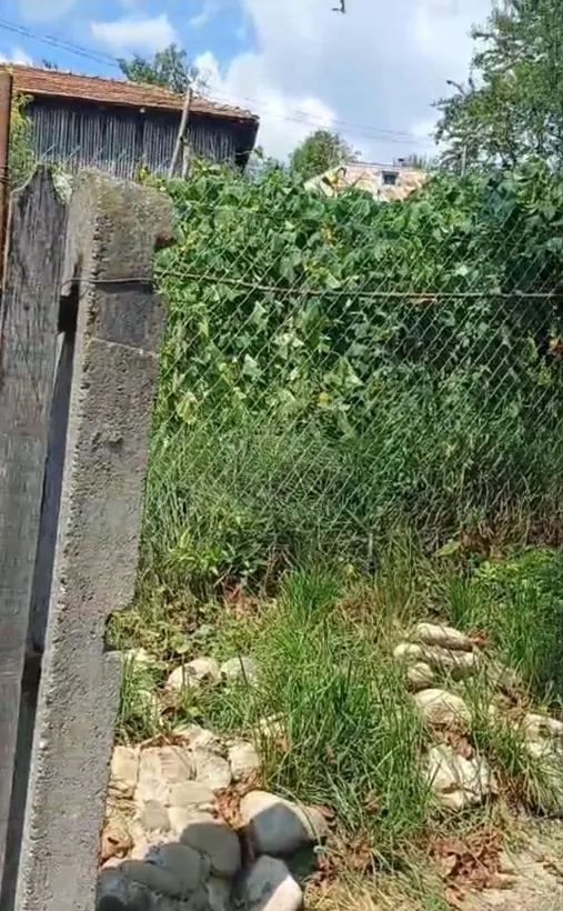 Buzau Loc Calvin