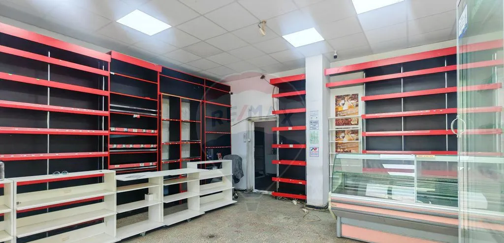 Vila cu 5 camere de vanzare I Corbeanca I Laguna Albastra