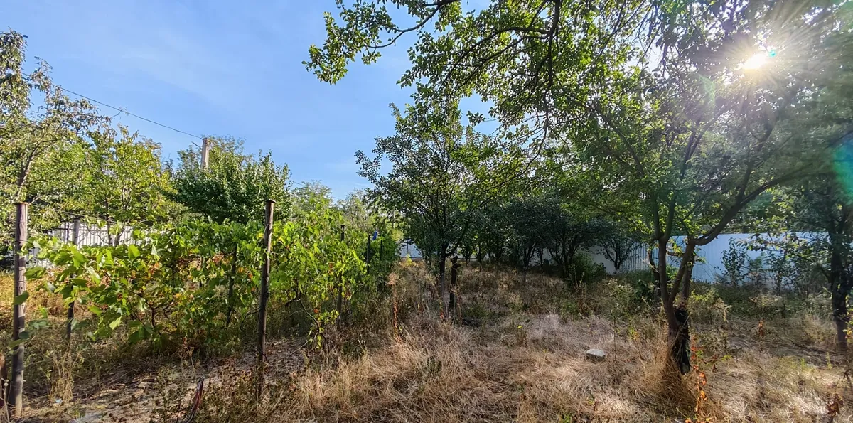 Chiroiu Pamanteni