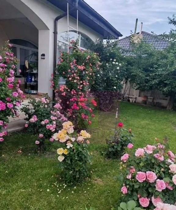 Vila superba in stil mediteranean Saftica Corbeanca com