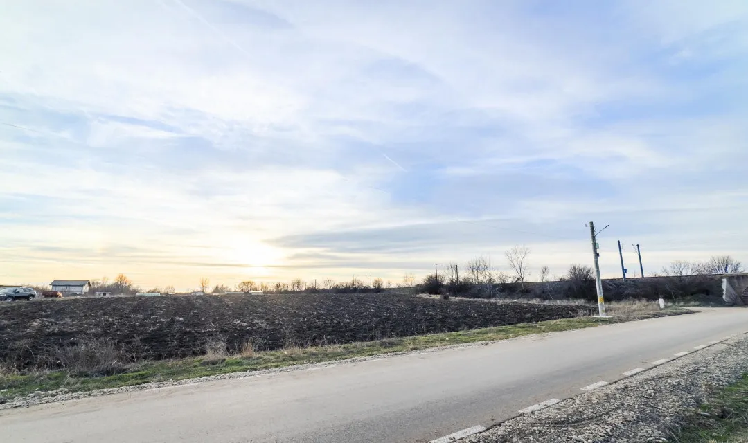 Domnesti Salciei Haltei Ciocarliei teren 6 000 mp drum asfaltat cu utilitati