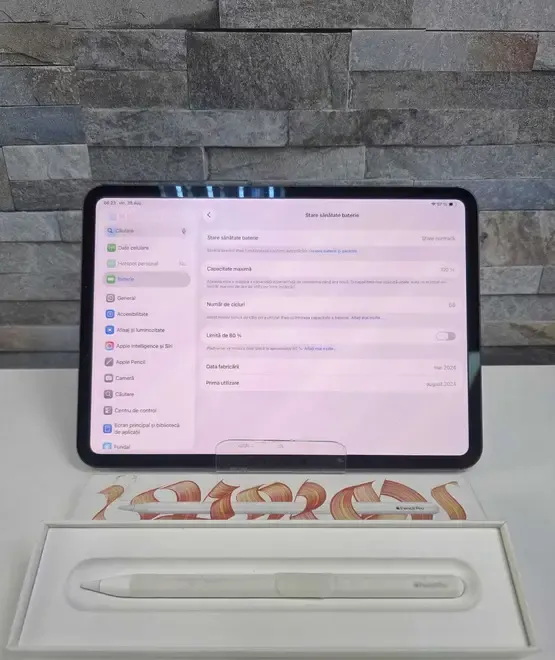 iPad Pro 11 inch M4 MEM 1TB