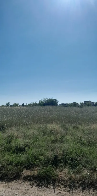 Berceni