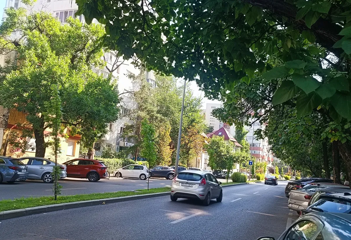 Victoriei Banu Manta