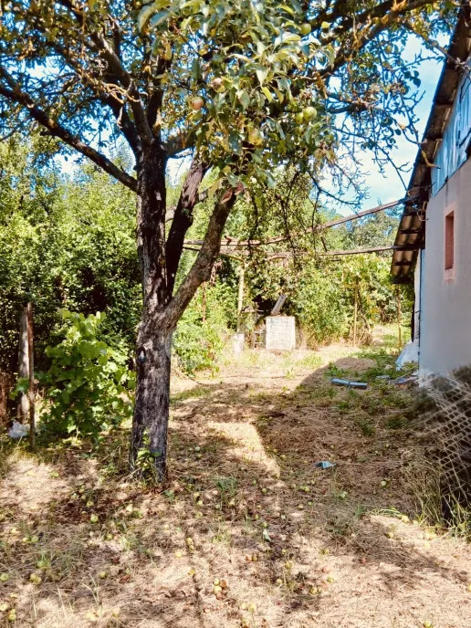 Apartament 2 camere Trivale - Complex 1 Centrala prop