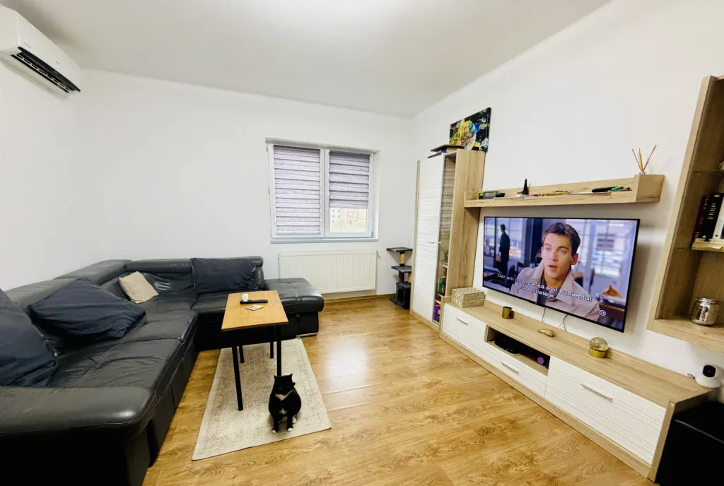 Apartament 2 camere Str Tineretului zona linistita mobilat